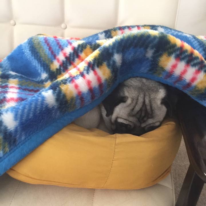 Fb146664 a887 4532 b710 898a35033e50