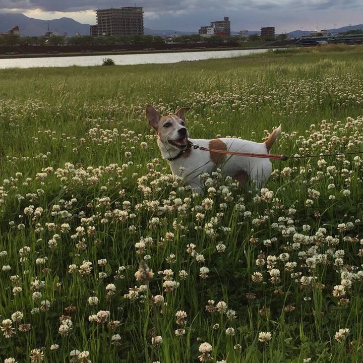 Fb14a382 8bcc 4907 8696 69cffb95a471