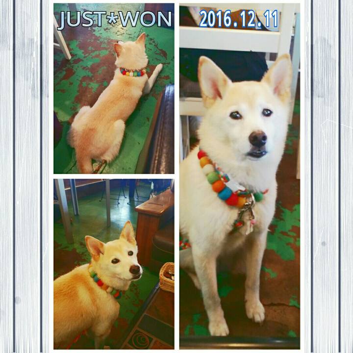 Fb14fd26 3530 458c acd0 6fbe211b8c76