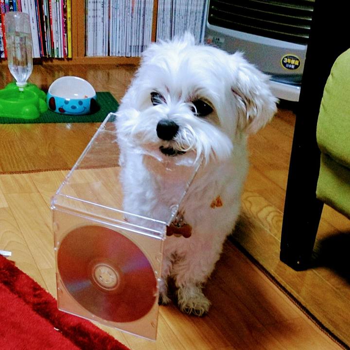 Fb15d5a0 66fb 41eb b6c1 03b4894c5f97