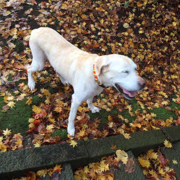 Fb16bba3 6197 47f1 a8ee 5642444b3f8a