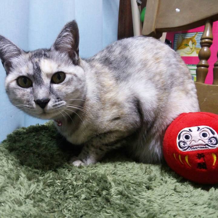 Fb16e340 fdf3 4553 9c9c f0212f7cecd6