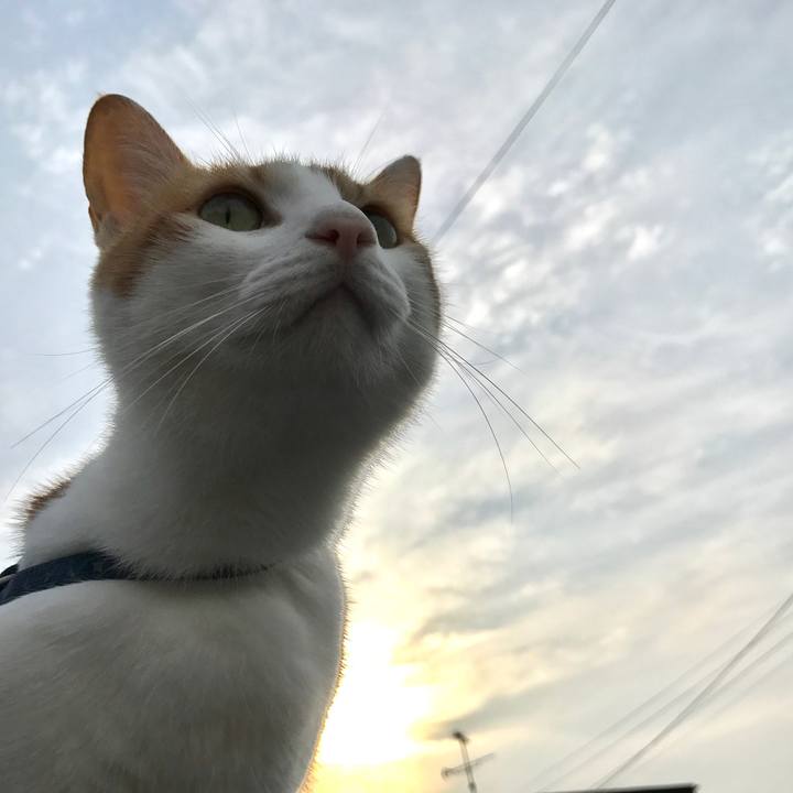 Fb179d4b 0b07 4876 bf00 4d99f03ec98c