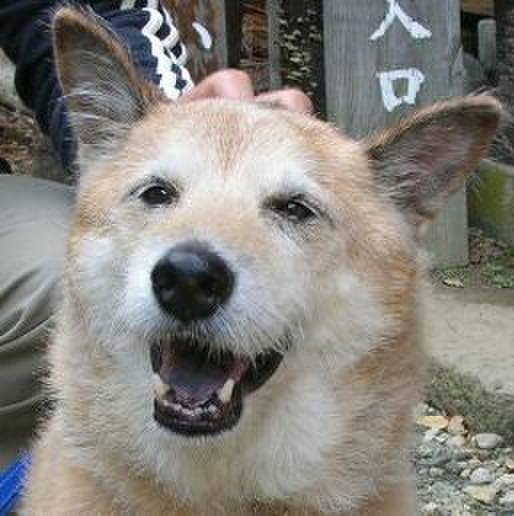 Fb184d1c 72b0 4fc7 99f5 b89280063f59