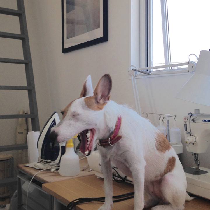 Fb1864f6 1ceb 433d 8fef ebfbc4f56923