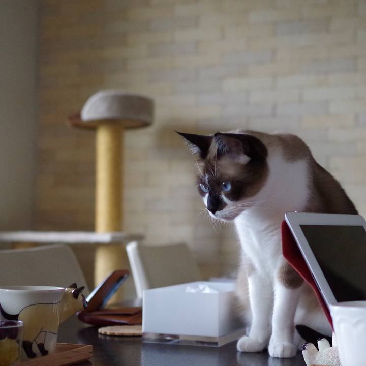 Fb188ff6 7526 442a 9393 0389adb7aafb