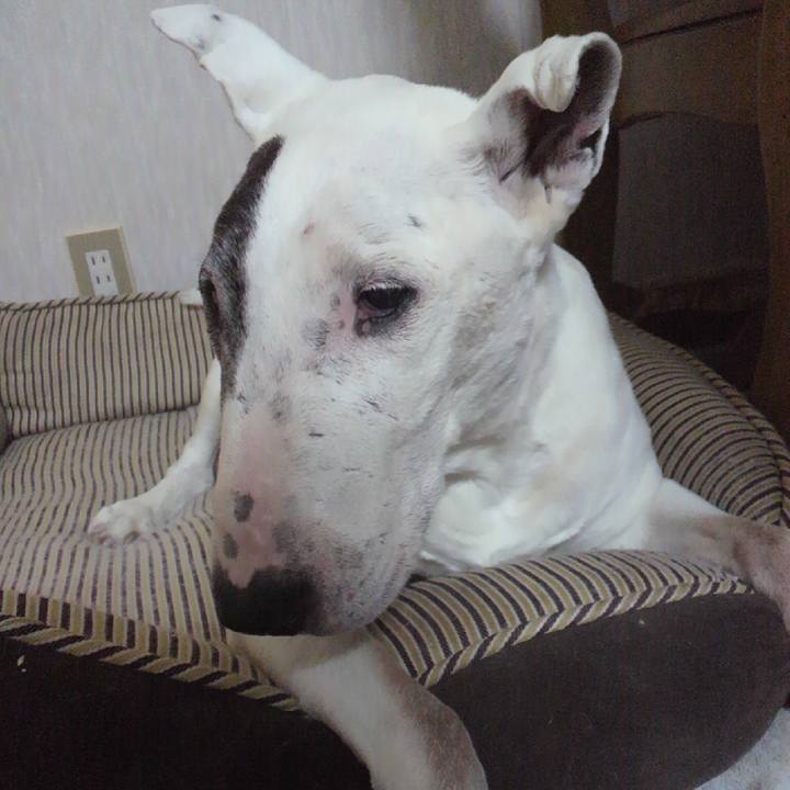 Fb19da5b 03e1 42f9 85e6 15fca4a57d13