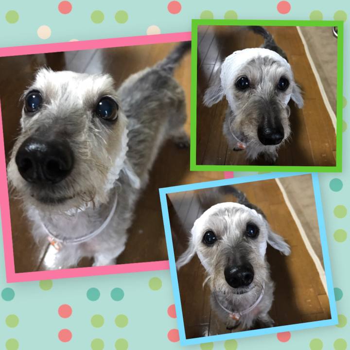 Fb1a8a7a f849 4ac0 b640 0a10183809fa