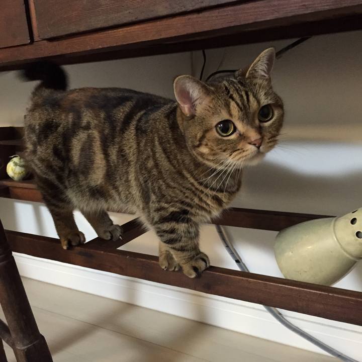 Fb1a9f57 dd6a 4cdc 8d72 8676df8912cf