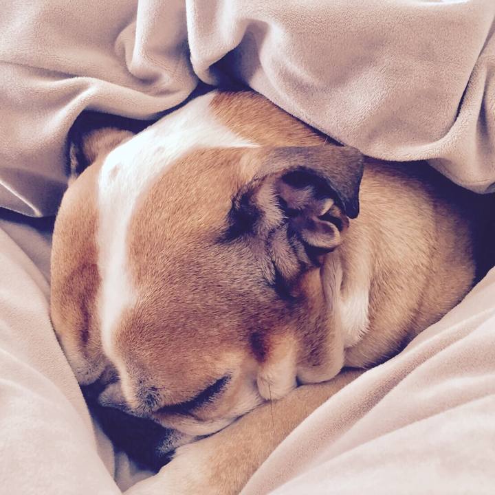 Fb1acb4b cfe9 4b70 bd0e 876dcc4922dc