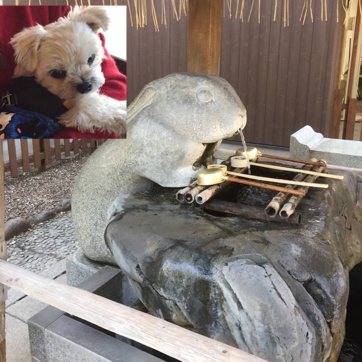 Fb1afe04 be17 4a74 b479 b4d7a14ec487