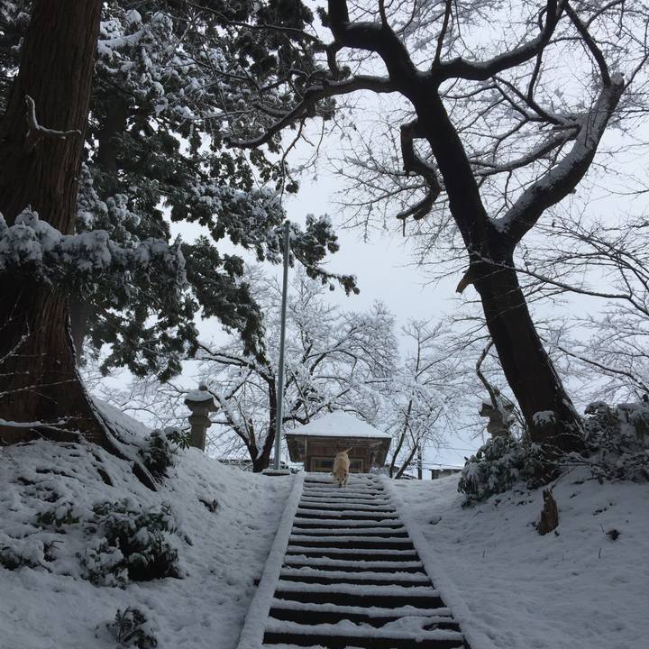 Fb1bbc76 ec58 440c 8f61 d24ce1207a5d