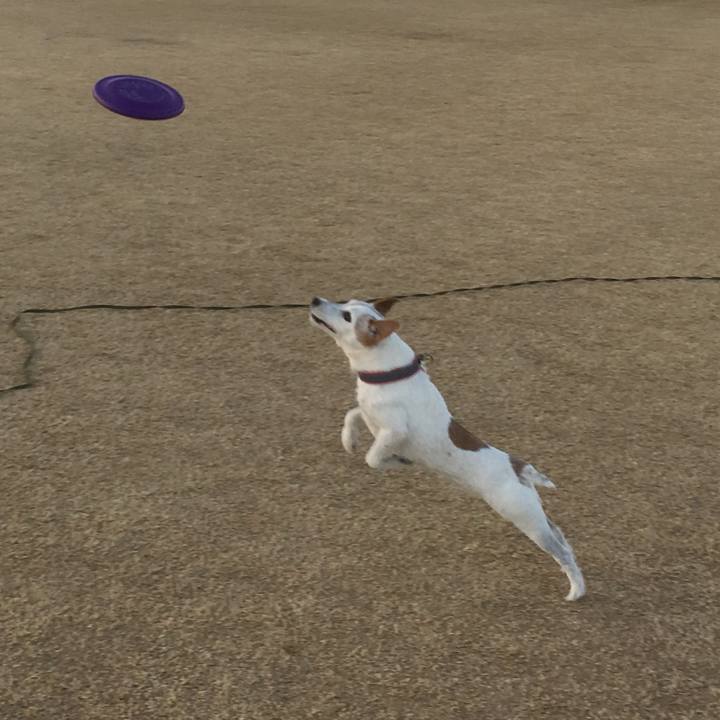 Fb1c4365 8dc4 4d5a b3e2 e8e5e92ade63