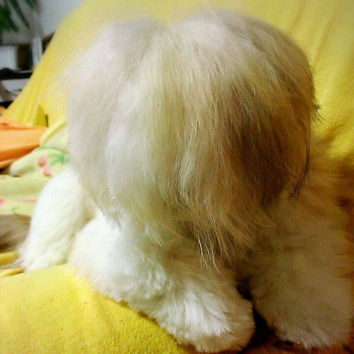 Fb1c5f9c 14c0 4881 8375 5600d43b1f87