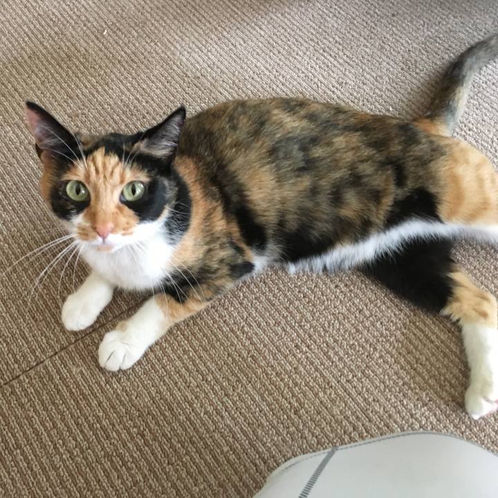 Fb1c9cae 4857 4699 98fd 81d147d83e53