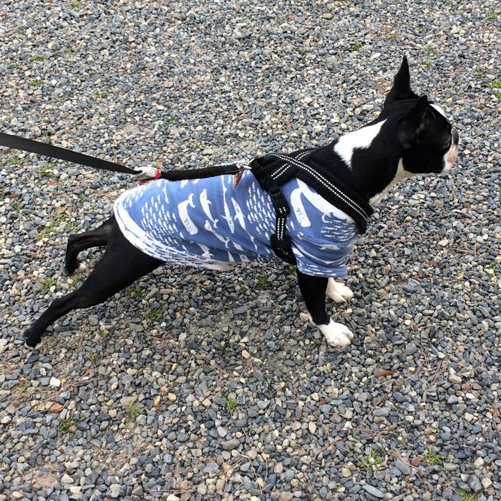 Fb1ced93 ee29 42d5 beb5 7591ad3b675b