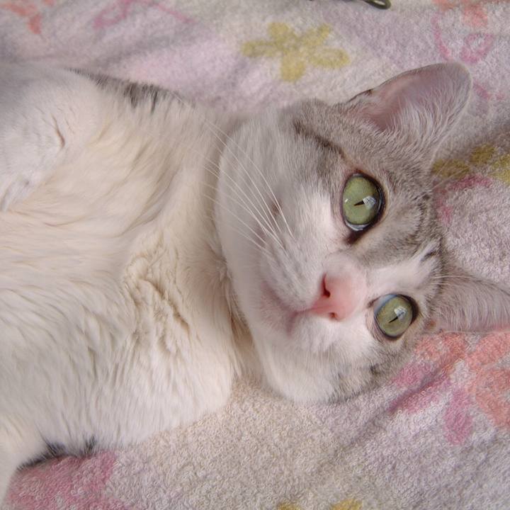 Fb1d36bc 1f76 41eb 89ba 0a15c9c38c54