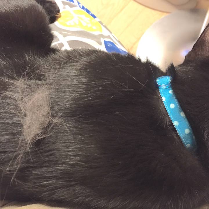 Fb1dade0 20c9 4212 912f 779c3be50f4b