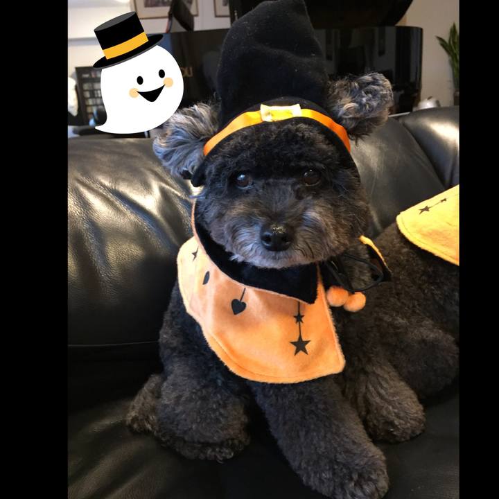 Fb1e0c2f 54a9 477f a724 19c803e2660f