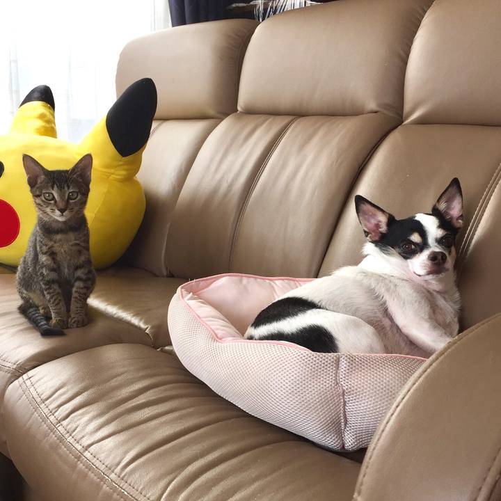 Fb1e5e51 2ca5 49c3 bba9 c55725d13037