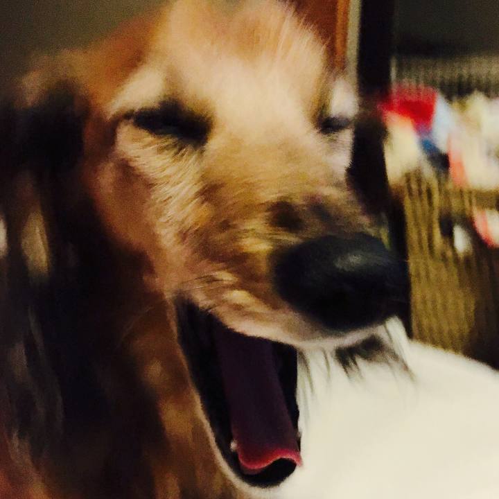 Fb1f13b2 7f0a 429d ae9a 21b9424aeea9