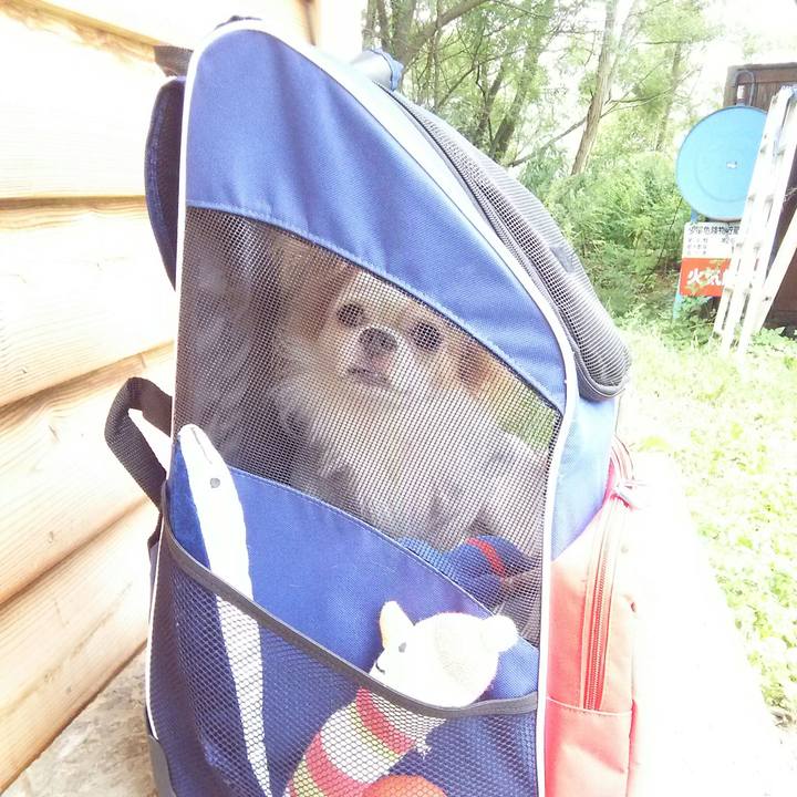 Fb1f37ea e030 406e ab1d dd2cdae31f85