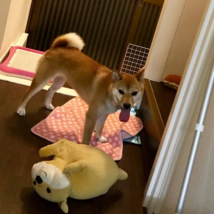 Fb1f8b1f 17a1 48de 9be2 987bea5adaaf