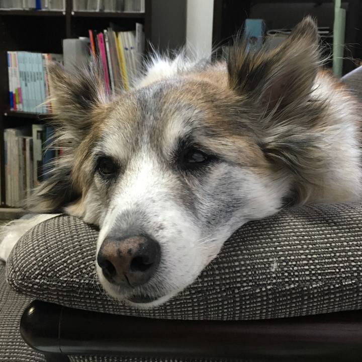 Fb1faf76 5964 4339 bb43 f0491bb4610c