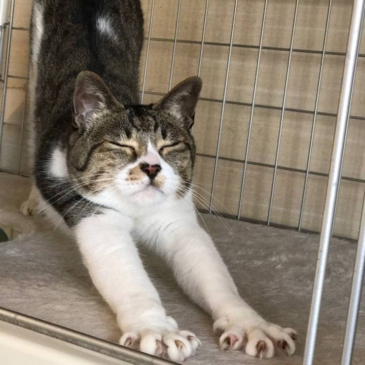 Fb1fb07e 24e0 414d b732 87ed96ce01d7