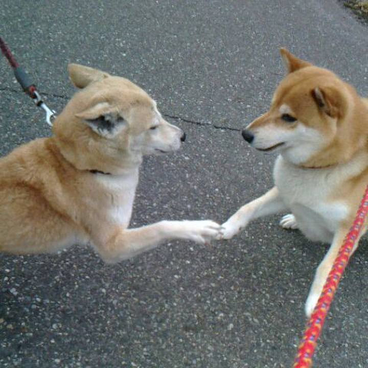 Fb1fbf14 e6e6 48eb 81f2 74be34d197b1