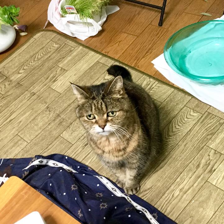 Fb1fc39b 865e 4aff a7c8 0bdbcf82d9e7