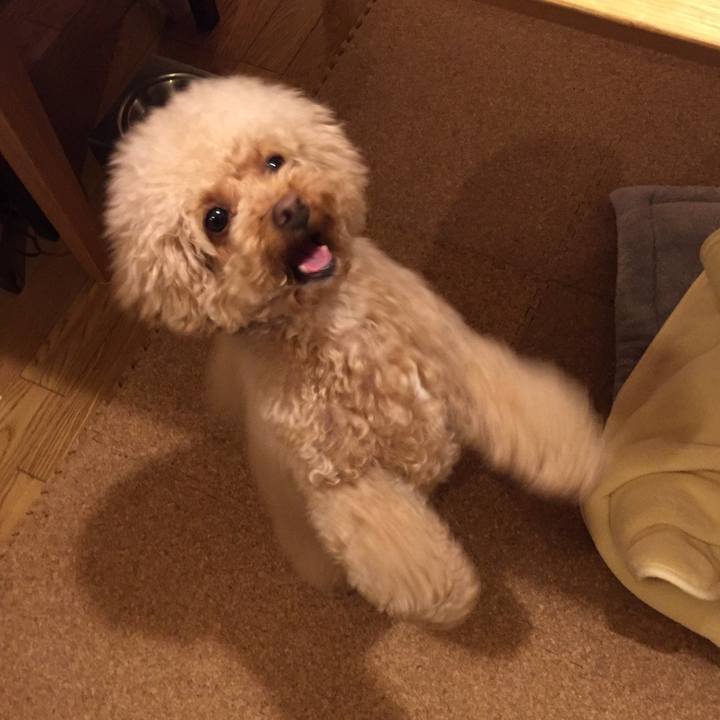 Fb211141 3938 4858 a3bb 7ca05841f4c3