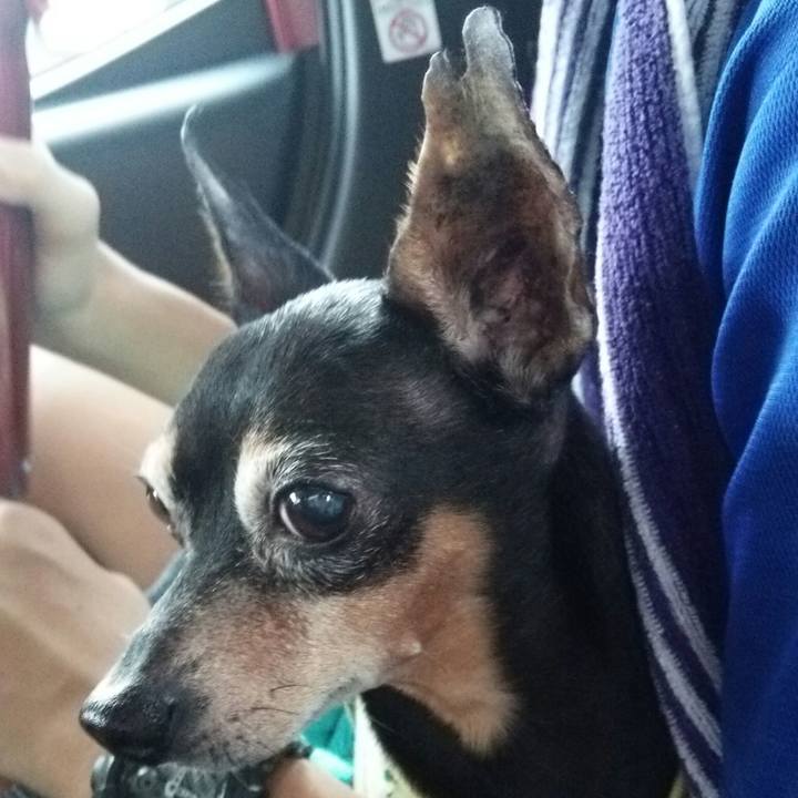 Fb21c983 370d 4b30 9a25 ddec7aace4b8