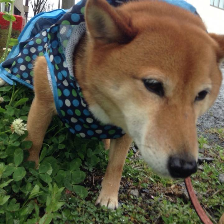 Fb220f4b e50b 4774 9d3c e25cf5b23827