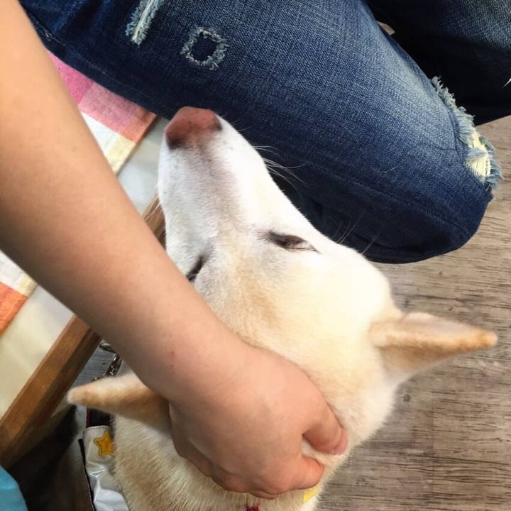 Fb221f26 c8da 48d2 bc70 028f890b8fa3