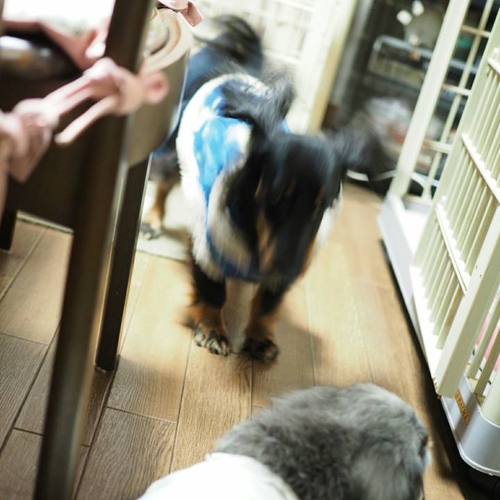 Fb22255d 966c 4054 906f 1a4721e9ed43