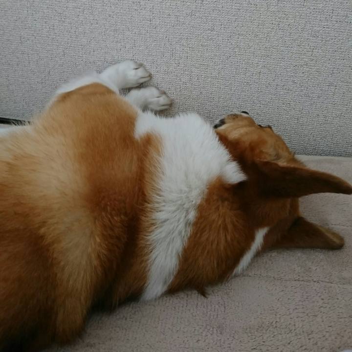 Fb22735a 7f13 4704 b56f fc0c243d1dd4