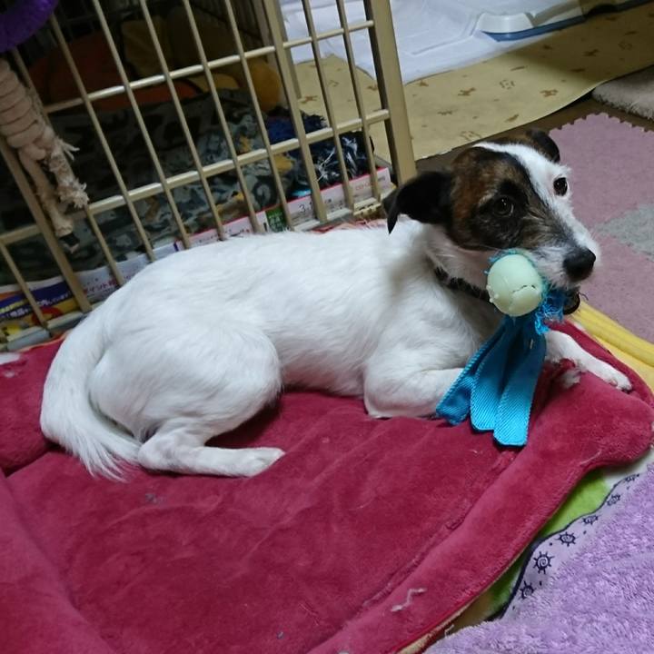 Fb228e70 1442 4de9 897c cb80f4cd1469