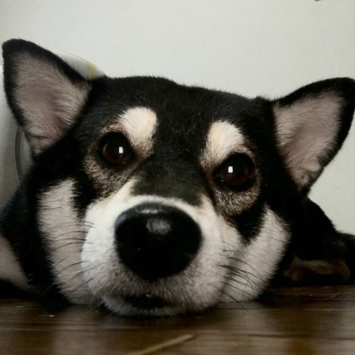 Fb22976a b2a8 4db4 9964 26c742ee047b