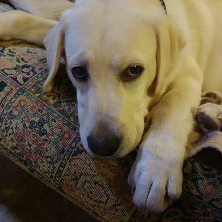 Fb229f52 e8c8 4f87 b4c9 7f8263818e7c