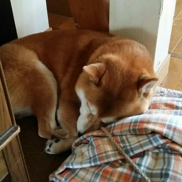 Fb22a565 c9f0 489a 9052 9e3e382a1c40