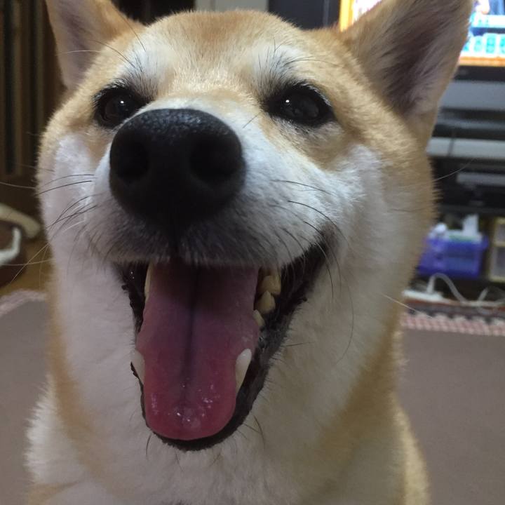 Fb230e6f 4665 4b2c b218 a237ad6118d1