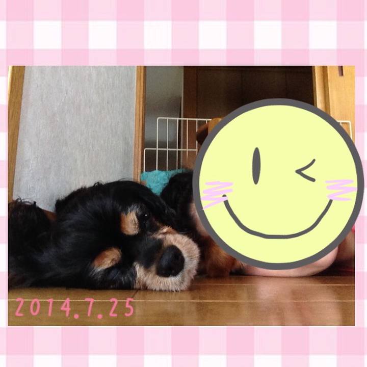 Fb2346b6 86d7 47dd 81cb aff2ffaf8578