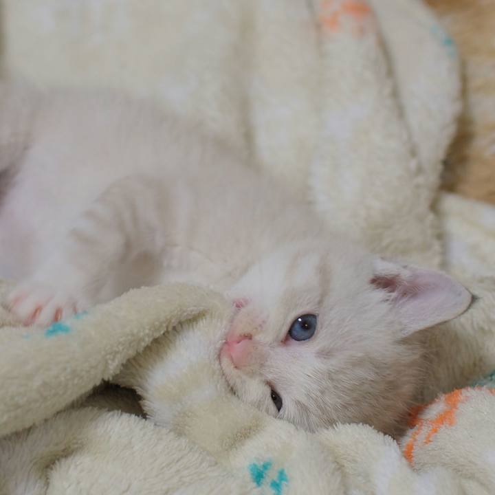 Fb236018 35d5 449f 8114 a4953377fcb8