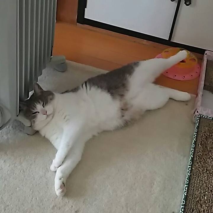 Fb237f9e f393 4052 a184 e672296a4a00