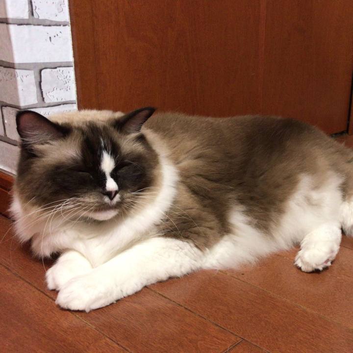 Fb241838 15ab 47ef 9ac3 5f3f2763b3d9