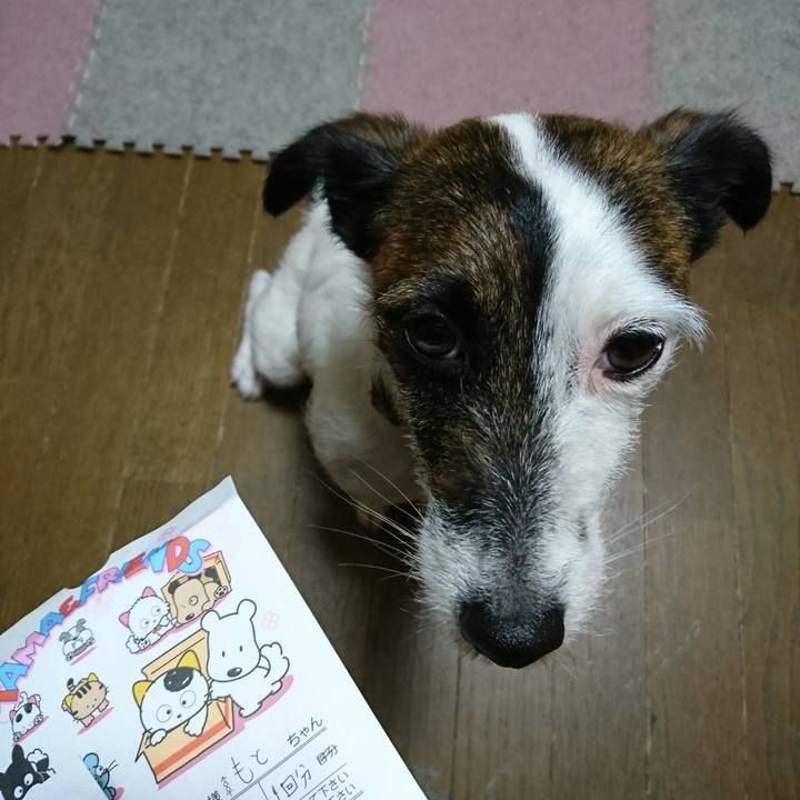 Fb248795 6505 44ec 9650 aac016cd1e84