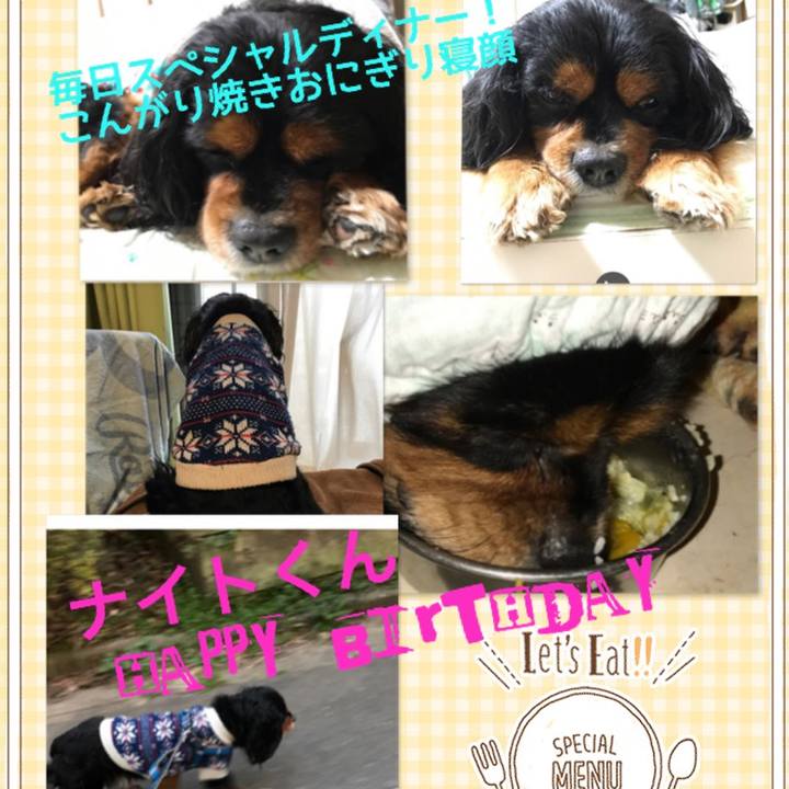 Fb2524c2 d292 492b a4bd 3cfb3e5de1c3