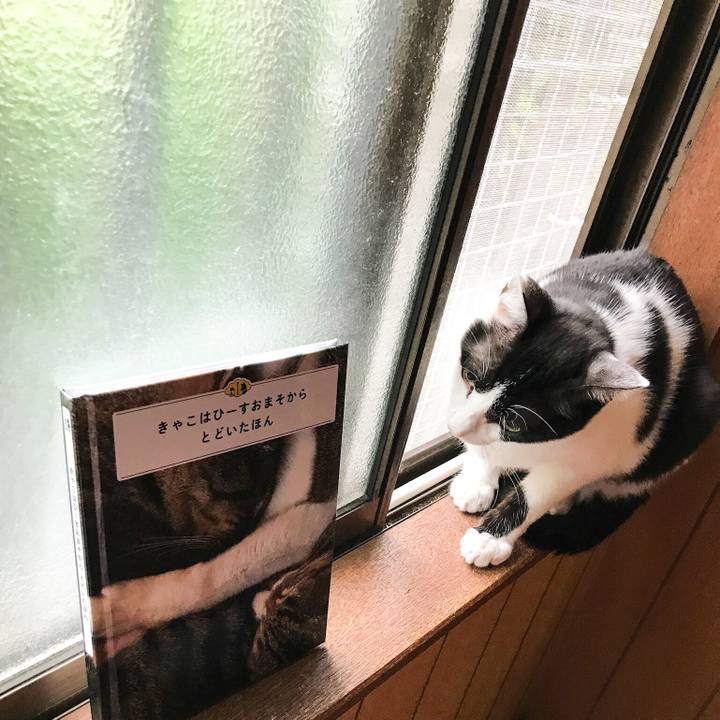 Fb25a046 103f 4e78 b288 b75c996c3043