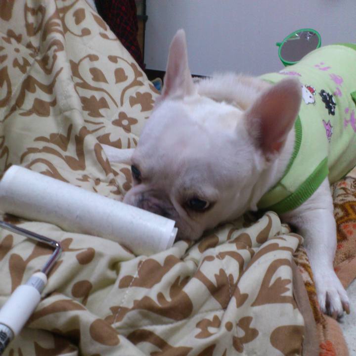 Fb26f351 b38e 4eaa 8f47 2e93b7888d48